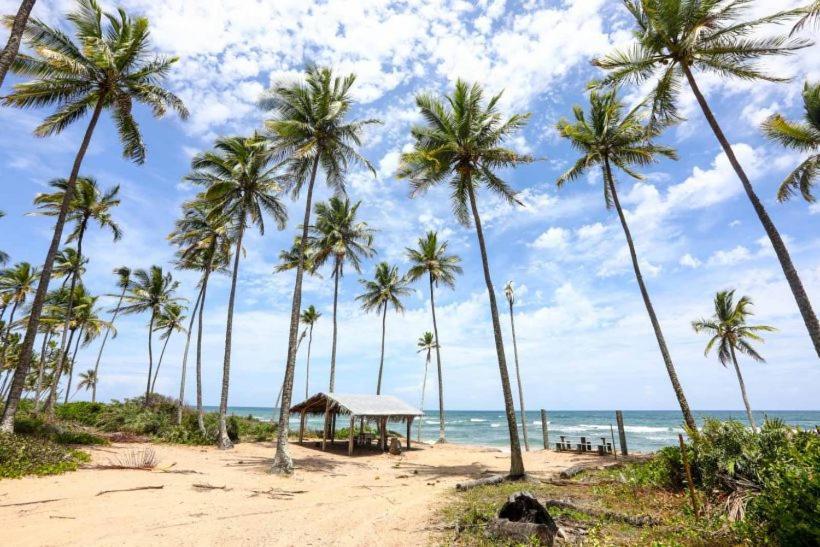 Hostel Suites Barra Grande Barra Grande  Dış mekan fotoğraf